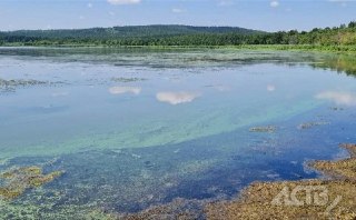Опасное цветение озера Тунайча на Сахалине: советы для купающихся