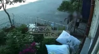Дети в Южно-Сахалинске украли садовые фигурки и вызывают обеспокоенность родителей