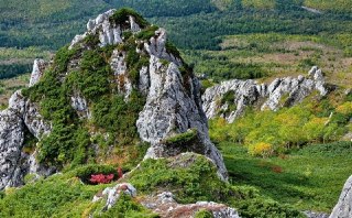 В Смирныховском районе введен 21-дневный запрет на посещение лесов из-за пожароопасной ситуации