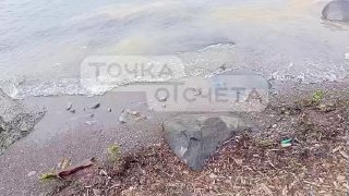 Экологическая угроза: разлив нефтепродуктов в Холмском районе